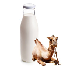 Load image into Gallery viewer, Camel Milk Near Me - Camel milk Sydyk | Ciga Kaz
