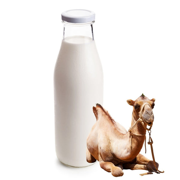 Pure верблюжье молоко Camel Milk